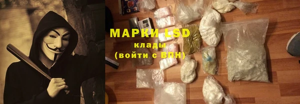 тгк Алзамай