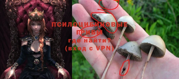 PSILOCYBIN Алексеевка
