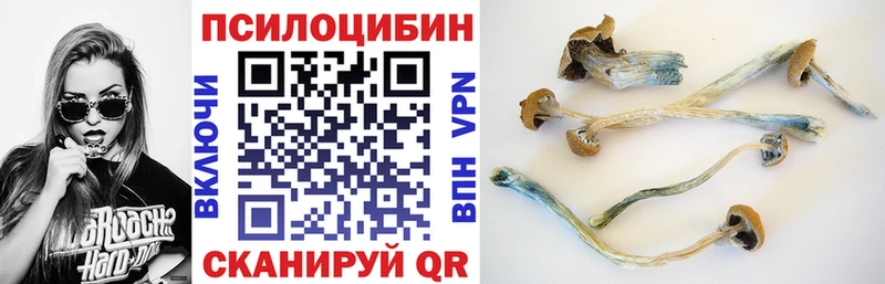 Псилоцибиновые грибы прущие грибы  Электрогорск 