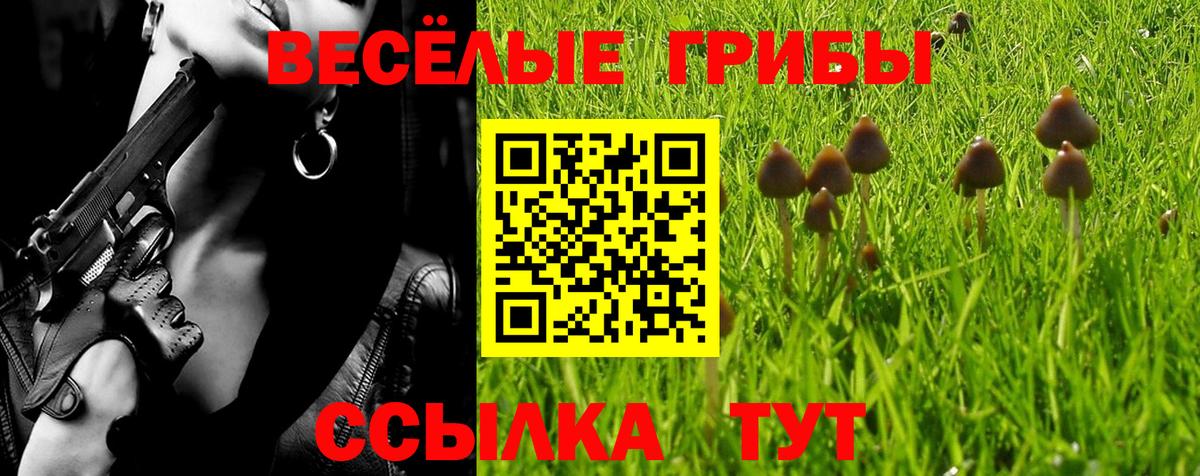 Псилоцибиновые грибы ЛСД  Вход с VPN  Электрогорск 