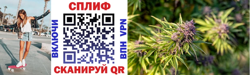 Конопля Bruce Banner  Электрогорск 