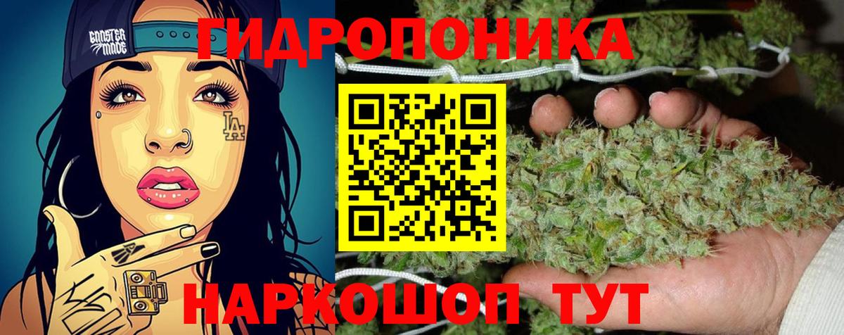Электрогорск  Каннабис OG Kush  Конопля гибрид  Вход с VPN 